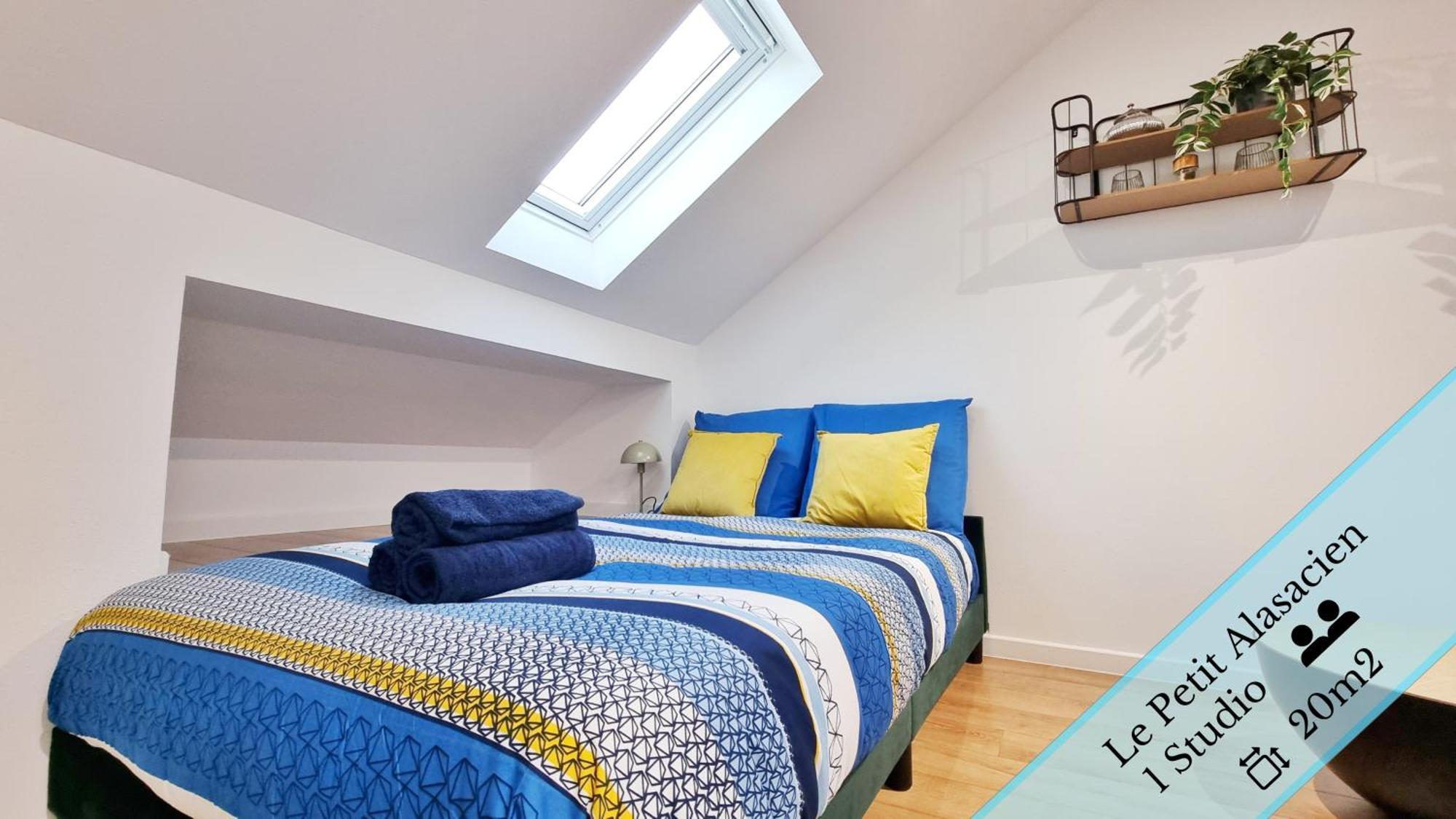 Les Suites Mulhousiennes - Charme & Serenite Mulhouse Dış mekan fotoğraf