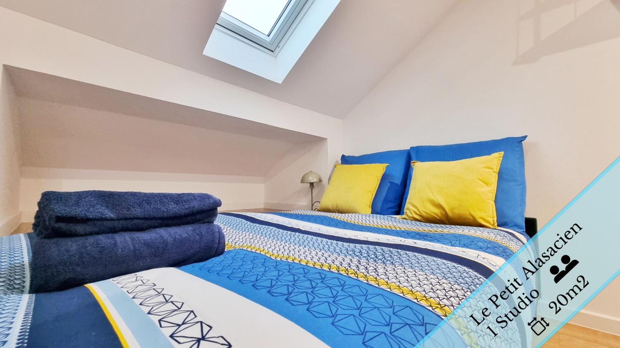 Les Suites Mulhousiennes - Charme & Serenite Mulhouse Dış mekan fotoğraf