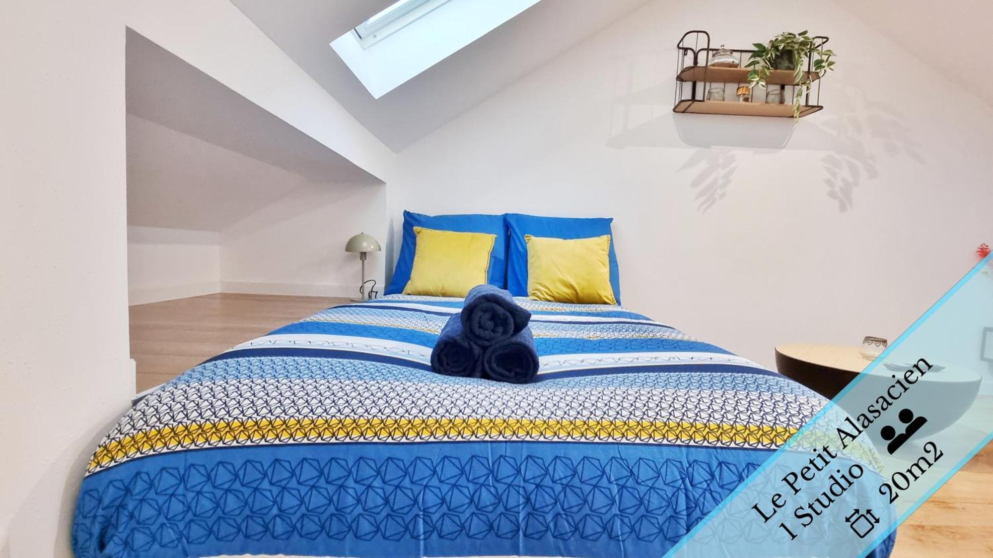 Les Suites Mulhousiennes - Charme & Serenite Mulhouse Oda fotoğraf