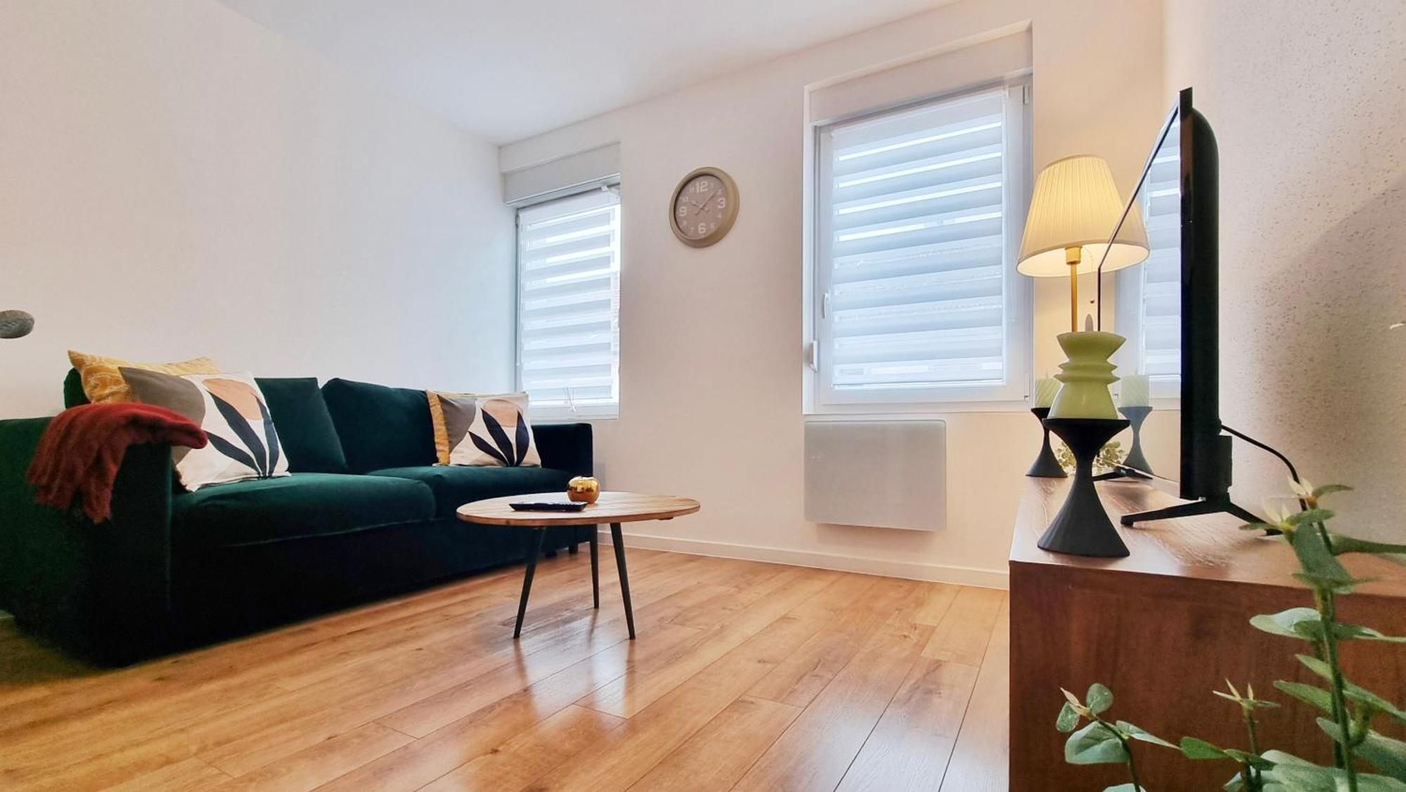 Les Suites Mulhousiennes - Charme & Serenite Mulhouse Dış mekan fotoğraf